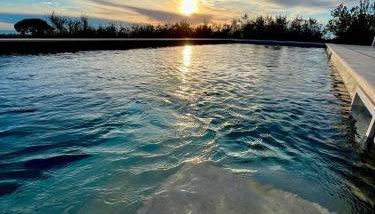 Villa Maslinik - Foto 5