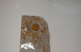 Casa vacanze - alloggio agrituristico Col - Foto 15