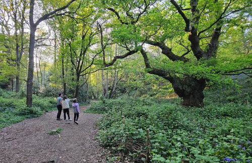 Luxury Self-Catering and Sauna - Oaks Rest - Foto 31
