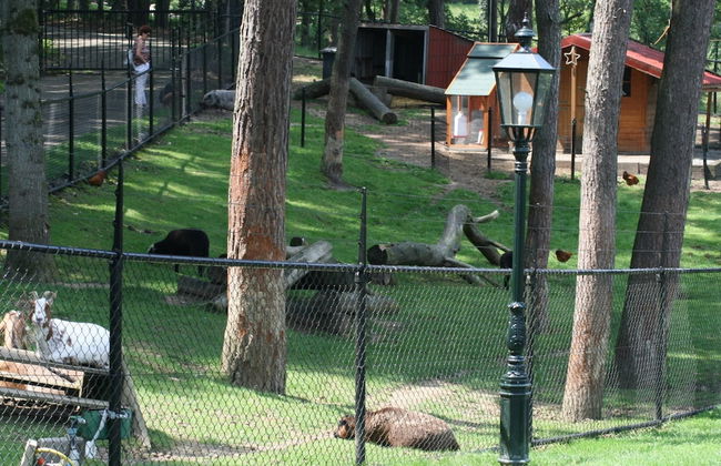 Wooden Holiday Home with Microwave near Brunssummerheide - Foto 20