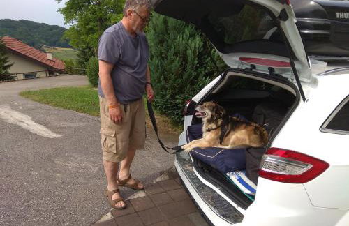 Apartments Country House Stipica - Foto 62