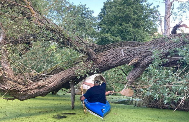 Residence in Zastan With Lake Access - Photo 14