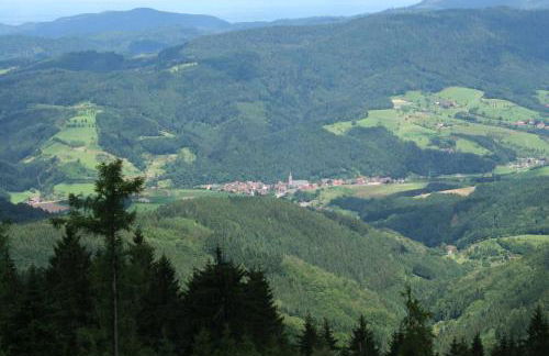 Ferienwohnungen Golla-lang - Foto 2