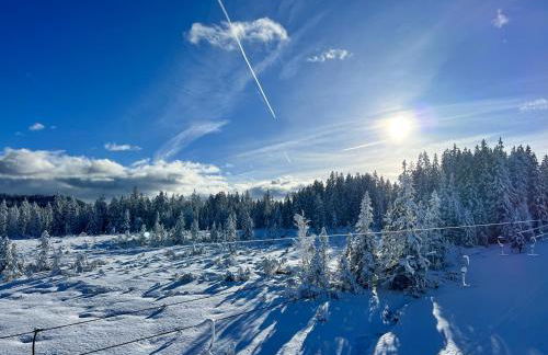 REIT IM WINKL - ValleyViewInn - Foto 41