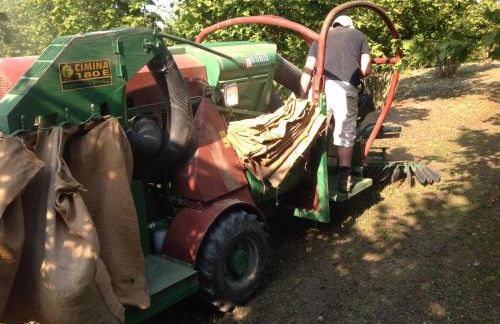 Sangrato 1883 - Foto 51