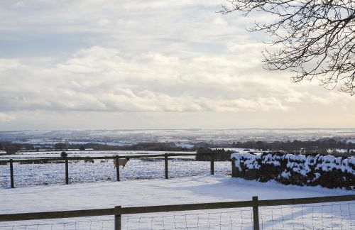 The Wests - Photo 11