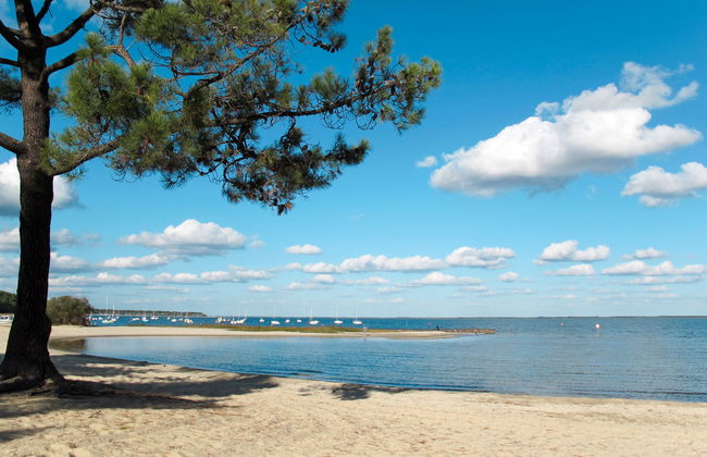 L'Escouarte - Foto 22