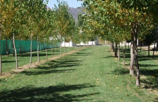 Cabañas Uspallata - Foto 15