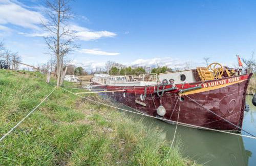 Péniche Haricot Noir Canal du Midi - Foto 36