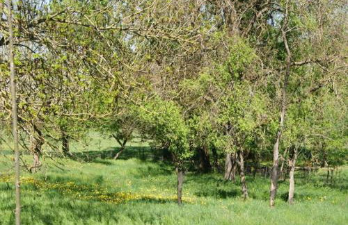 4-Bedroom Alsace Retreat - Foto 32