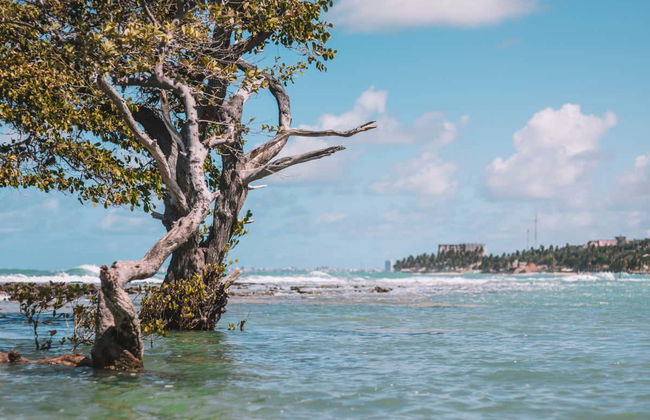 Excursión privada a Mirante da Sereia, playa de Ipioca y Paripueira - Foto 2