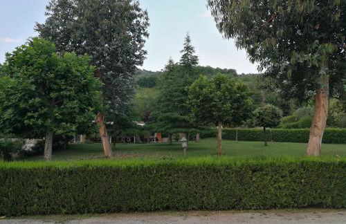 Agriturismo Casamia - Foto 10