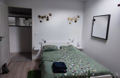 Location de charme T3 au 2e étage et dernier étage - Foto 36