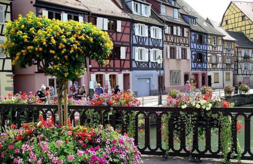 Colmar,appart chaleureux 2 pas centre avec jardin - Foto 13