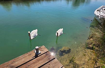 Holiday Home Borna - Foto 41