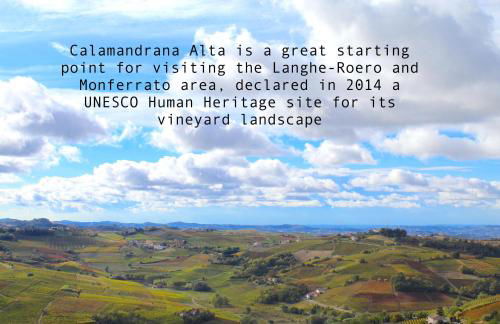 AMAZING LANGHE AND MONFERRATO | House with garden - Foto 41