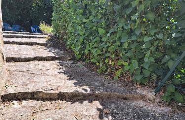 Le chant du troglodyte - Foto 34