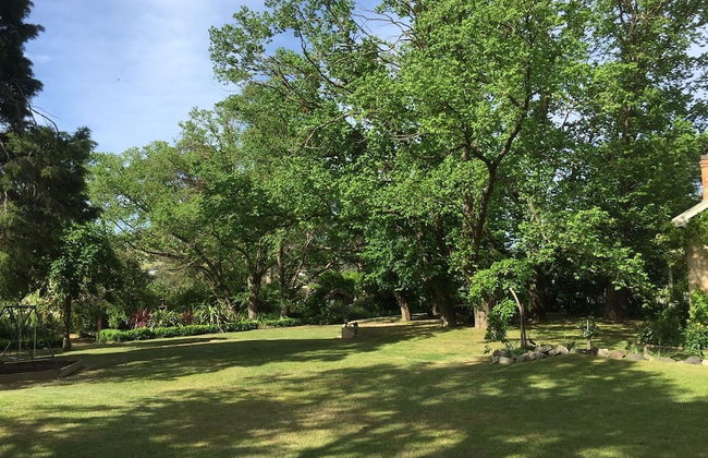 Taradale House Estate - Foto 77