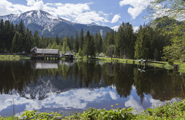 Superior #48 mit IR Sauna - Foto 10