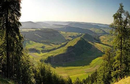 Wine Country Apartment - Foto 37