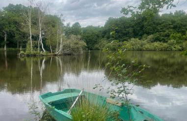 La Sauvagine - Foto 20