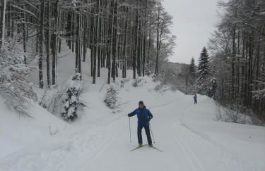 Gaztanbide Apartamento rural - Foto 20