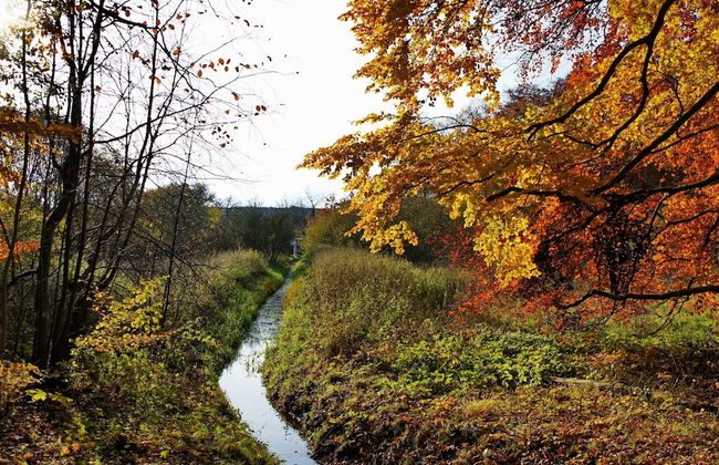 Chalet in Wendorf - Foto 13