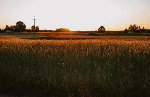 Widokówka Kaszuby - Foto 71