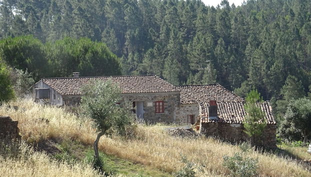 Palheiros da Ribeira - Foto 2, Profilbild