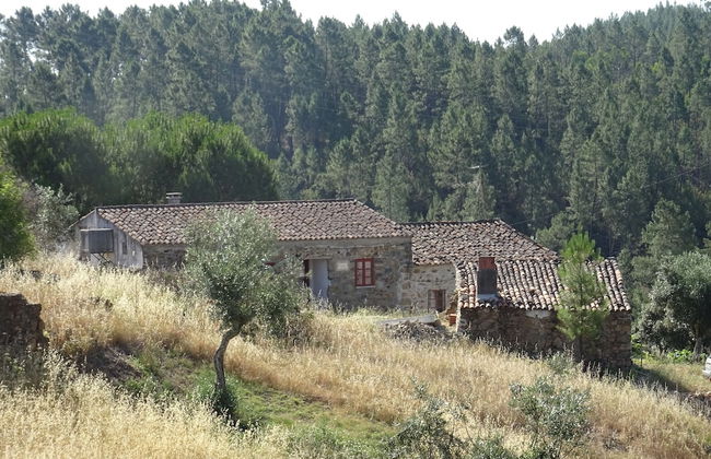 Palheiros da Ribeira - Foto 1