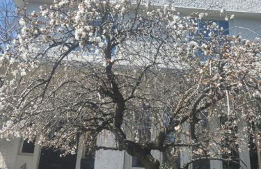 Historic Oak Park Residence - Foto 21