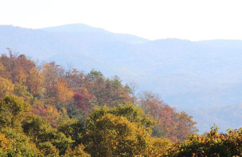 A Slice of High Country Heaven, Seven Devils Condo - Foto 43