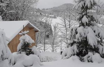 NORDIQUES DE LA WELCHE - Foto 20