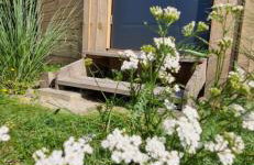 Ostoja Będzyn- Wypoczynek nad Pilicą - Foto 16