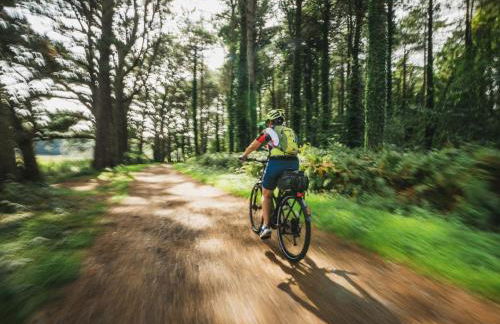 2 Bed in Llandrillo 88598 - Photo 26