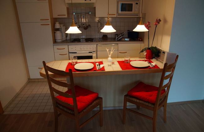 W & S Executive Apartments - Obertraun - Foto 21