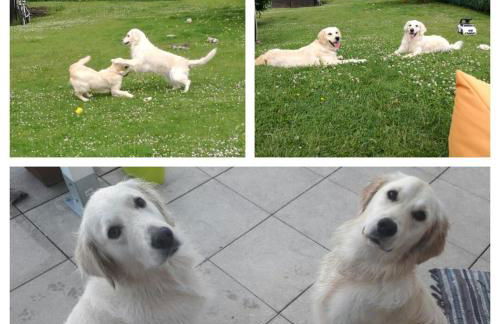 Landhaus Schlossberg - Foto 66