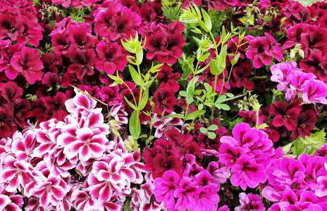 Anna's Stone House - Foto 44