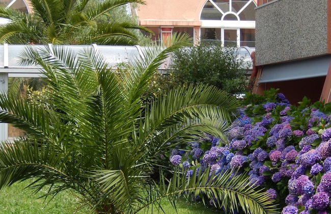 TERRASSES DE BORDA - Foto 23