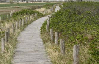 Reethus Stöfs - Foto 21