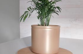 Le Scailleteux, petite maison de mineur, climatisée non accessible PMR - Foto 13