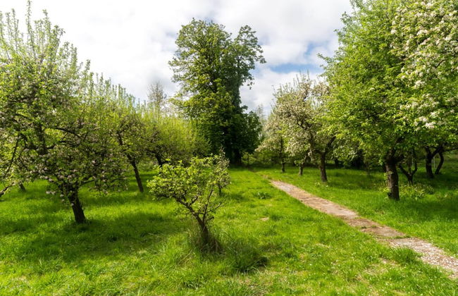 Gemutliche Wohnung in Meeresnahe in Kalkhorst - Foto 22