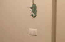 Ca' Monsignor Vittore - Foto 2