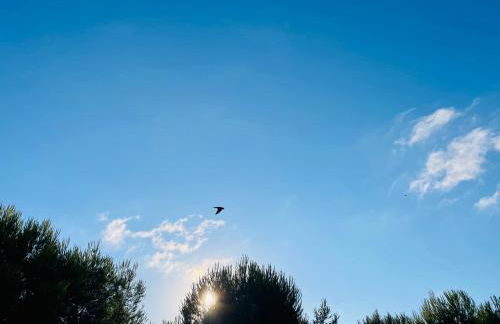 Marinao Apartment - Foto 68