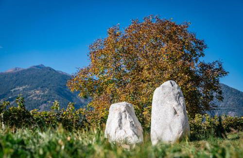 Steindlgut - Weinberg Chalets - Foto 48