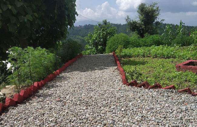 Pine pioneer the eco resort - Foto 20