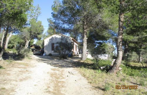 Mazet pleine nature - Foto 3