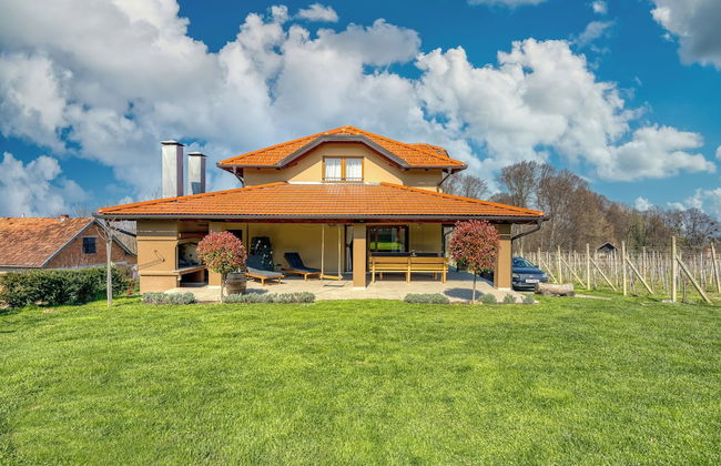 Hedonistic Vineyard Estate With Hot Tub - Foto 1