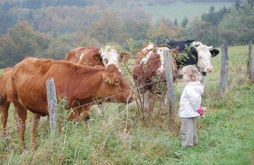 Schweizes Ferienhof - Foto 6