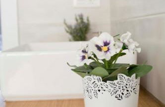 Apartamentos MadreSelva - Foto 63